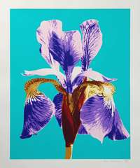 piers iris